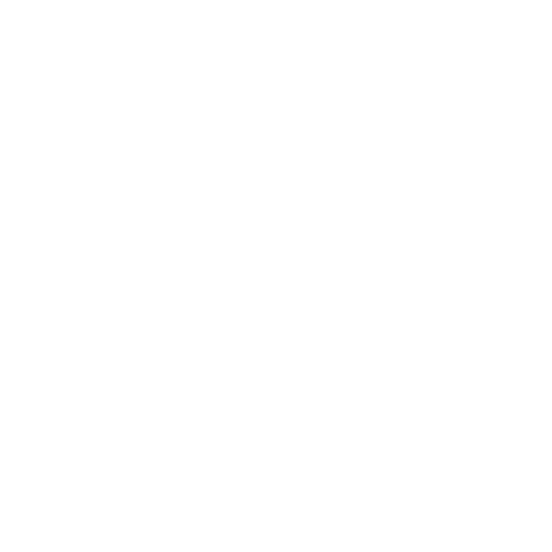 Natural Brick